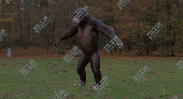 images/goods_img/20210312/Chimpanzee 3D/3.jpg